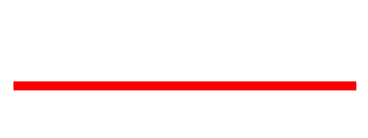 Black Hills Information Security logo